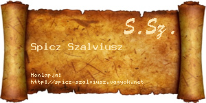 Spicz Szalviusz névjegykártya